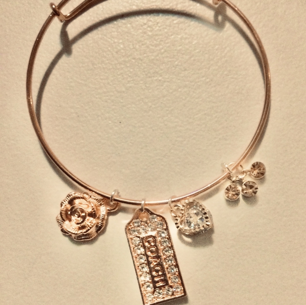 Charm Bracelet